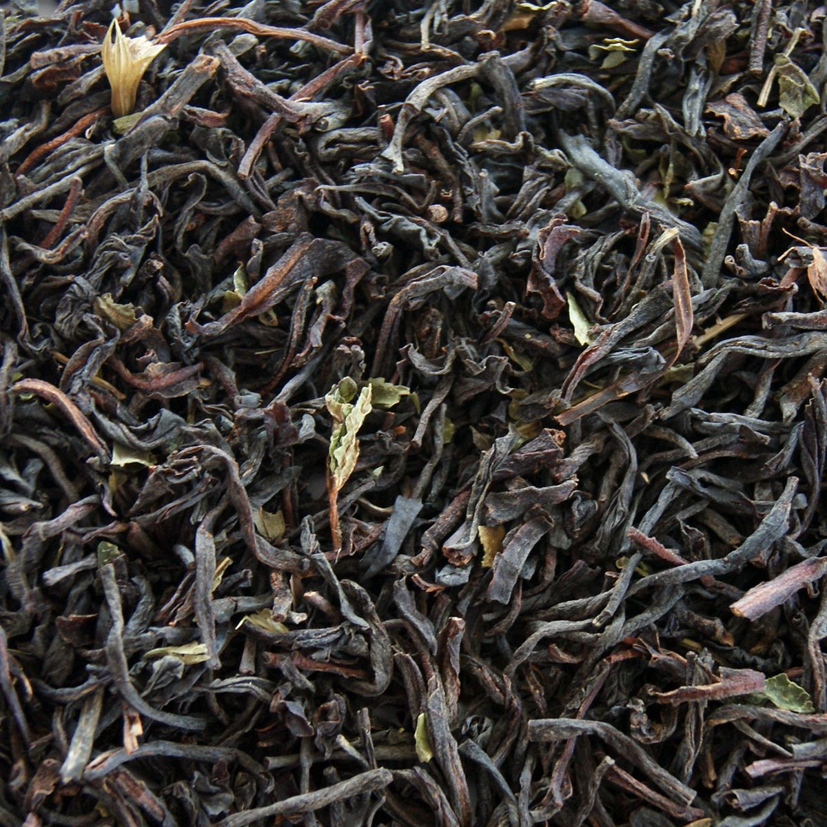 Earl Grey Citrus Te Øko 100 g