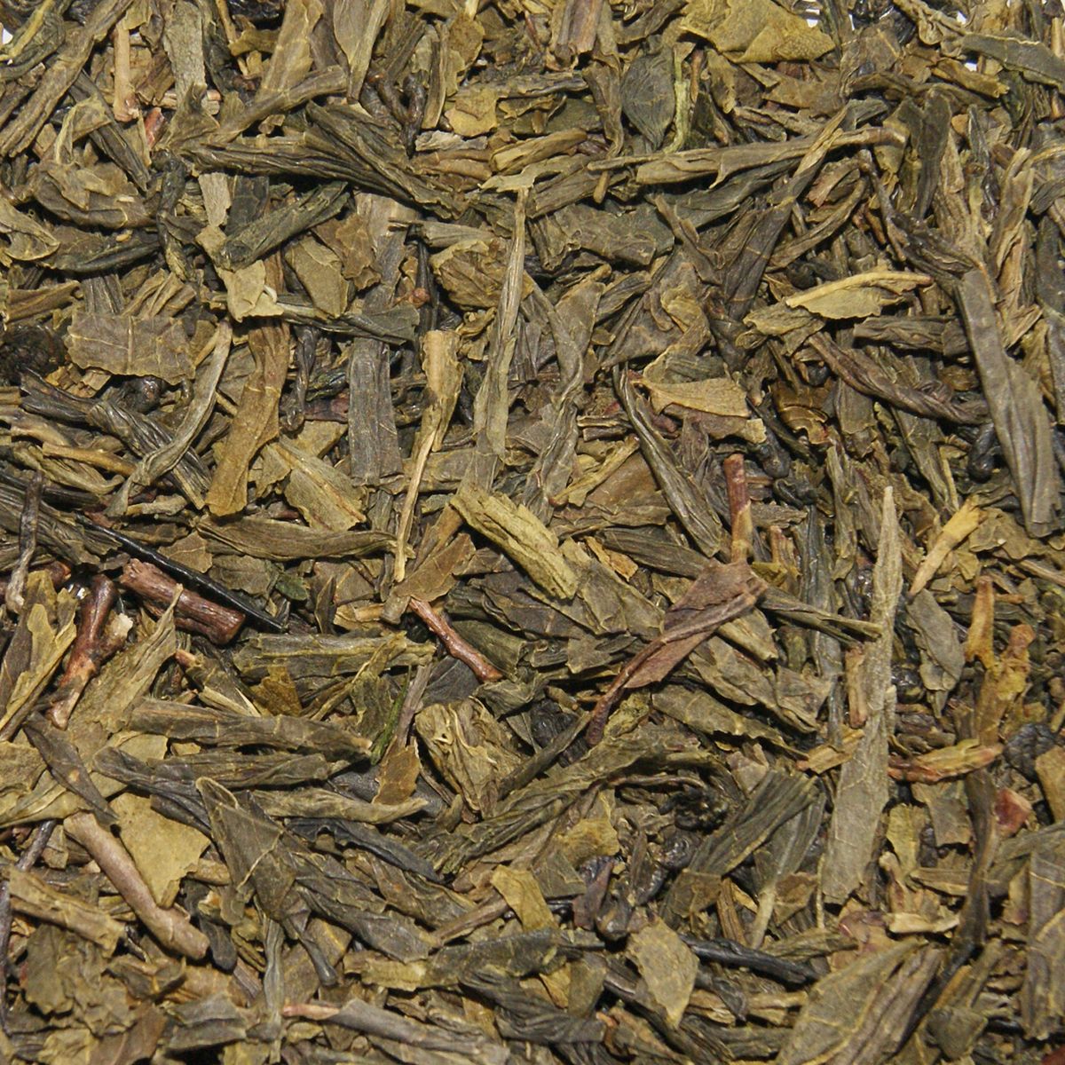 China Grøn Sencha Te 1 kg