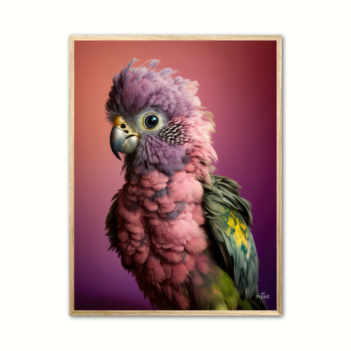 Papegje plakat - Pink 1 21 x 29,7 cm (A4)