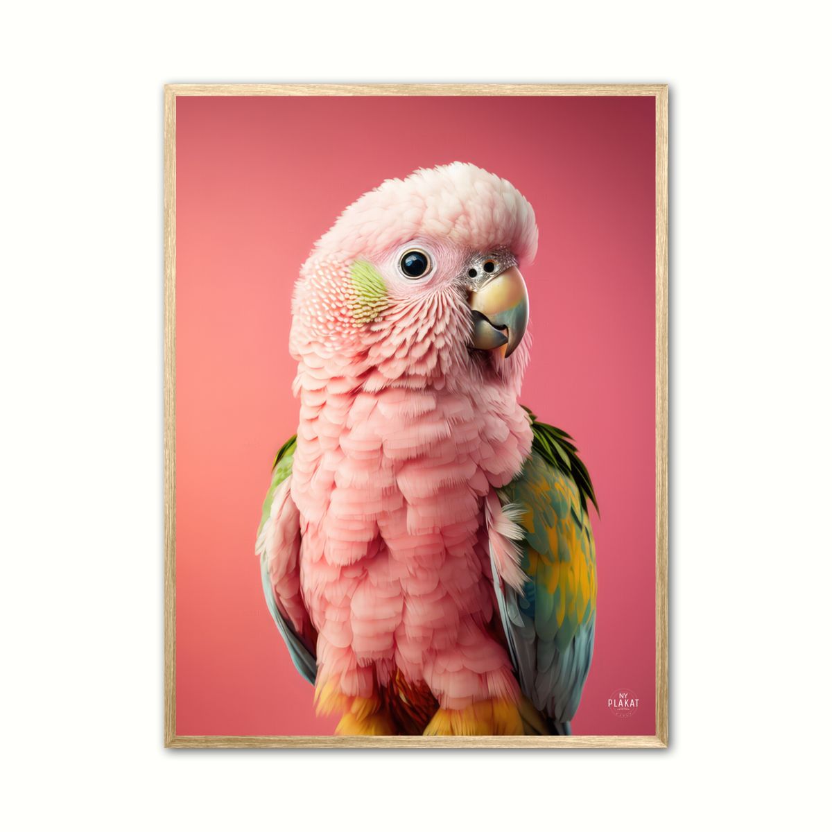 Papegje plakat - Pink 2 21 x 29,7 cm (A4)