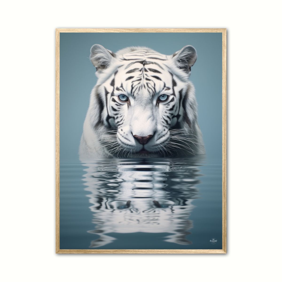 Plakat med Tiger Plakat 6 50 x 70 cm (B2)