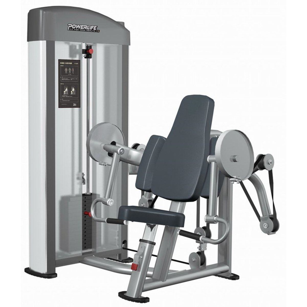 RELAX PRO FITNESS - Relax Biceps Curl PL1207