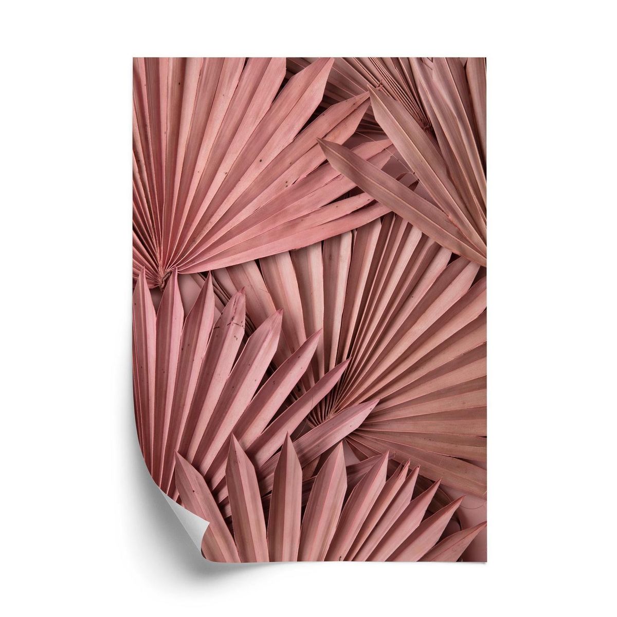 Plakat - Pink palmeblade i boho stil