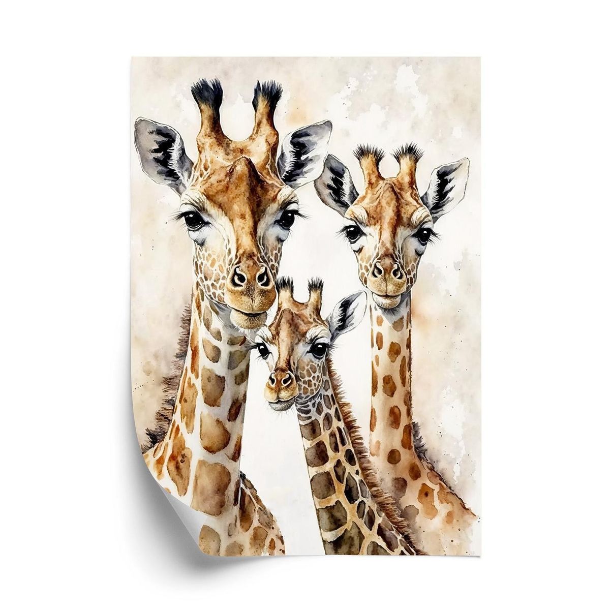 Plakat - Giraffe familie