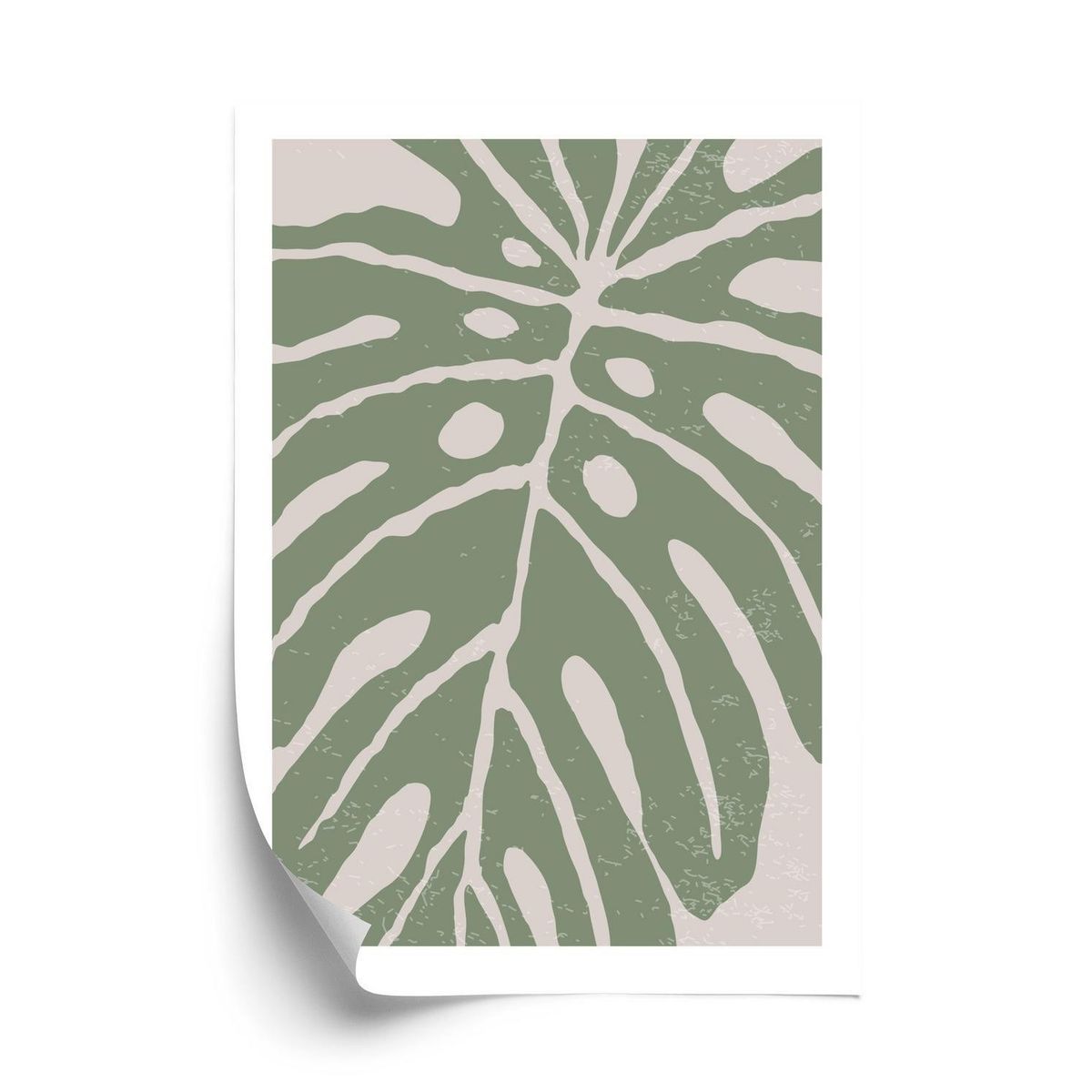 Plakat - Grønt monstera blad