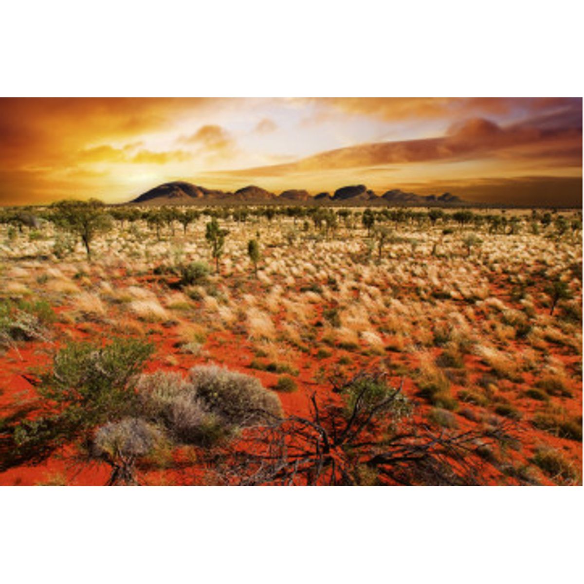 Fototapet - Australian Landscape