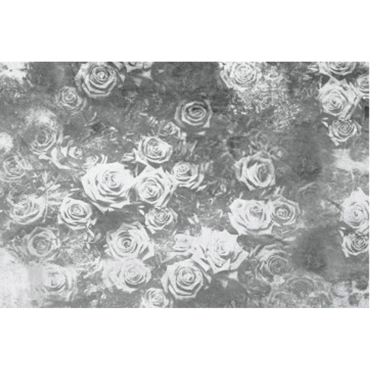 Fototapet - Roses Abstract Ii