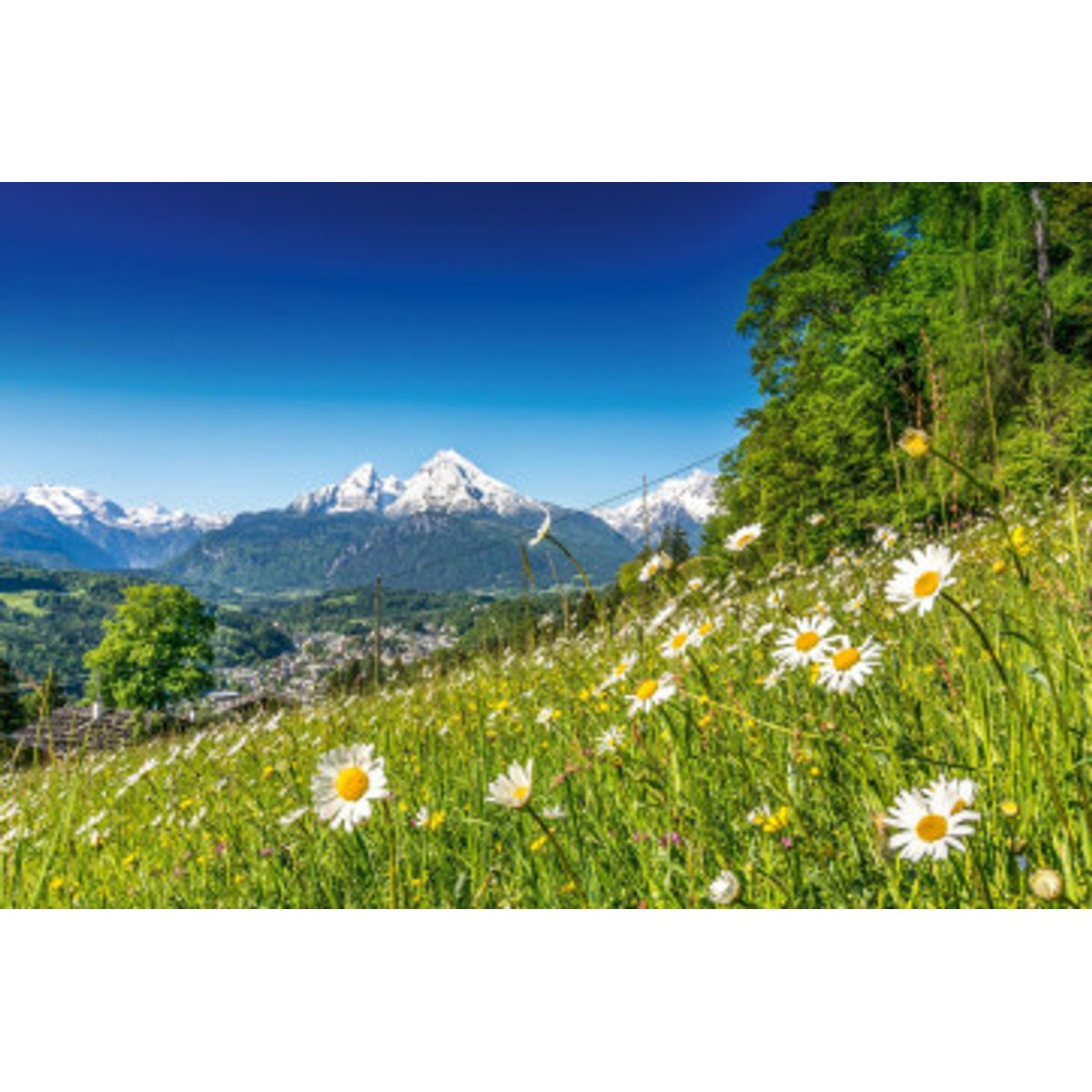 Fototapet - Alpine Landscape