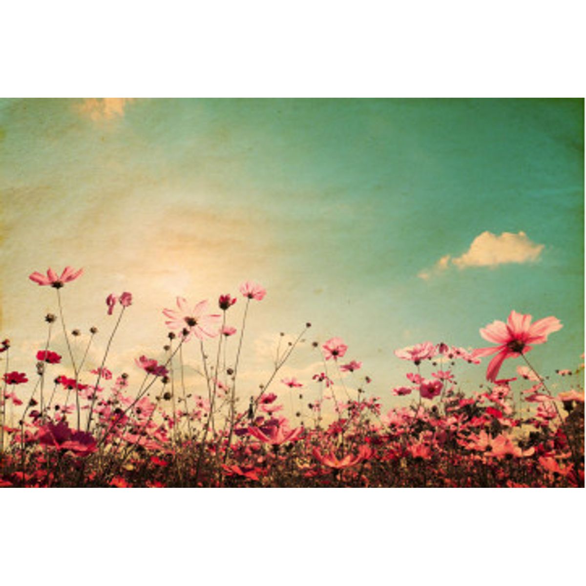 Fototapet - Vintage Landscape Nature Background