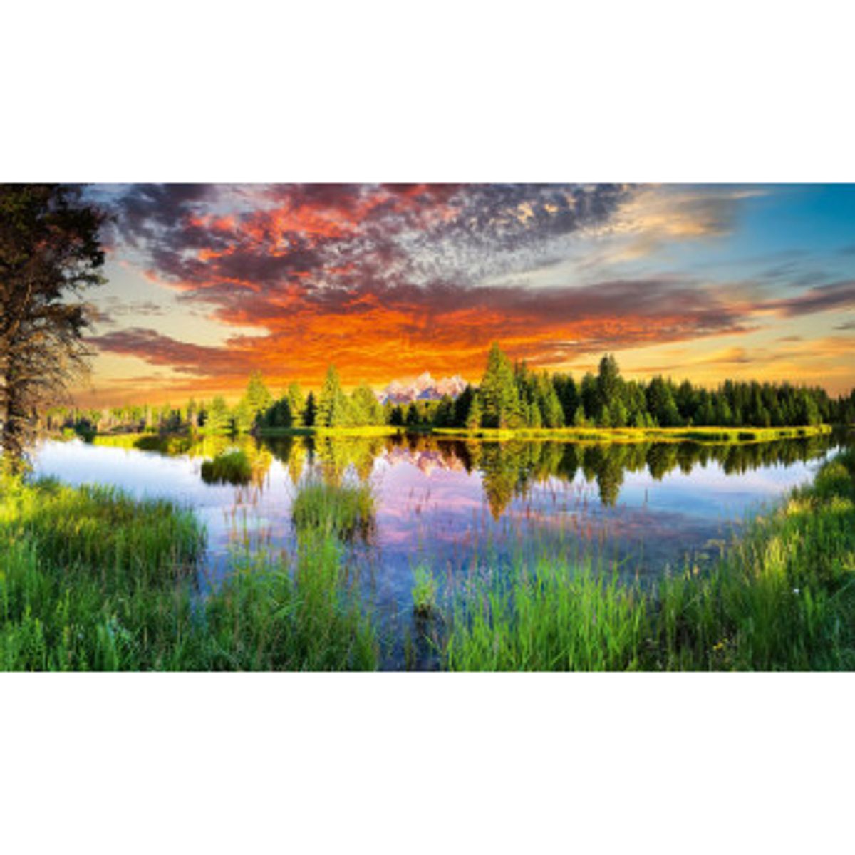 Fototapet - Snake River In Wyoming