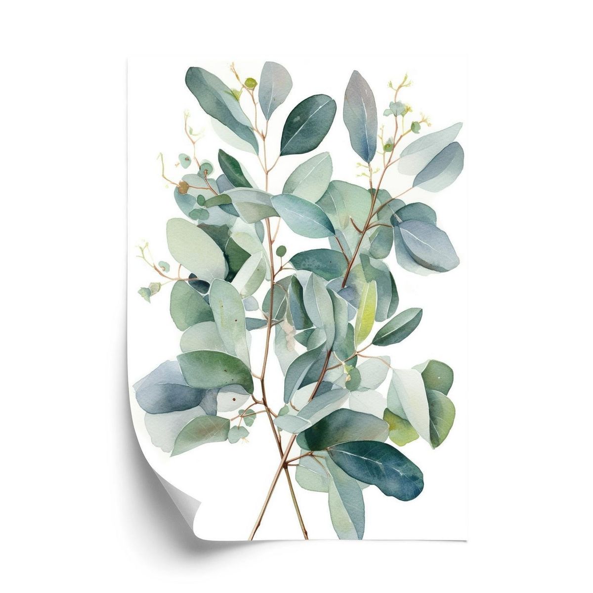 Plakat - Eucalyptus grene buket malet med akvarel