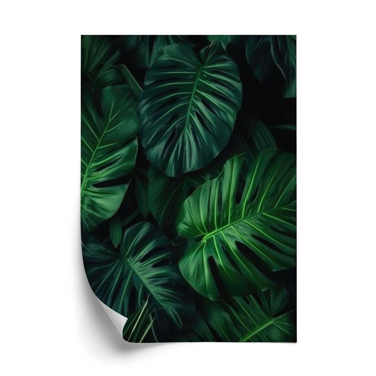 Plakat - Botanisk mønster af mørkegrønne monstera-Blade