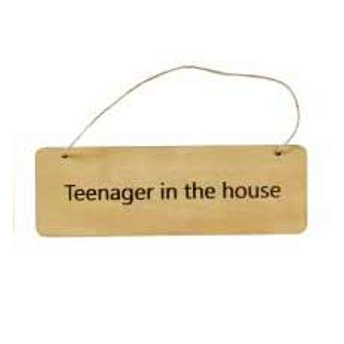 Skilt - Teenager in the house