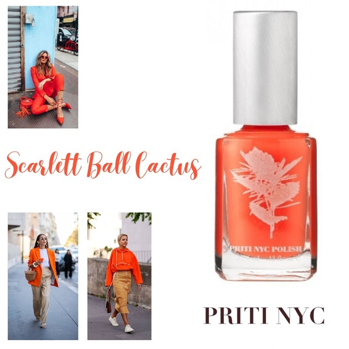 PRITI NYC - N°425 - Scarlett Ball Cactus