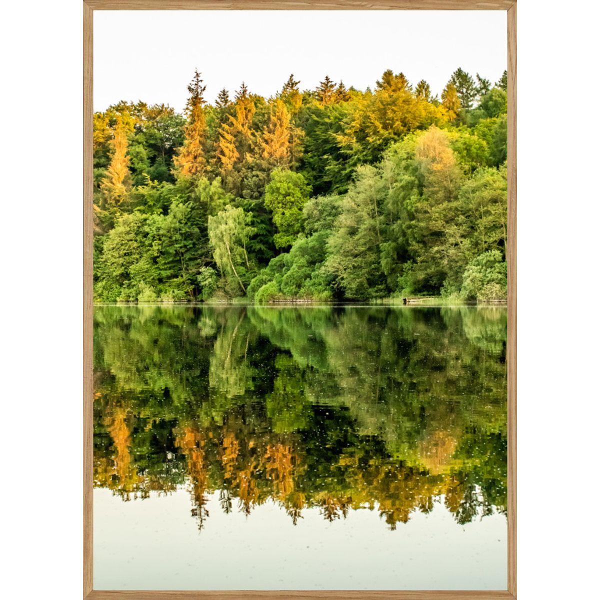 REFLEKTION - NATURPLAKAT A3 (29,7 x 42cm) - BOLIGEN > NATURPLAKATER - Living Nature