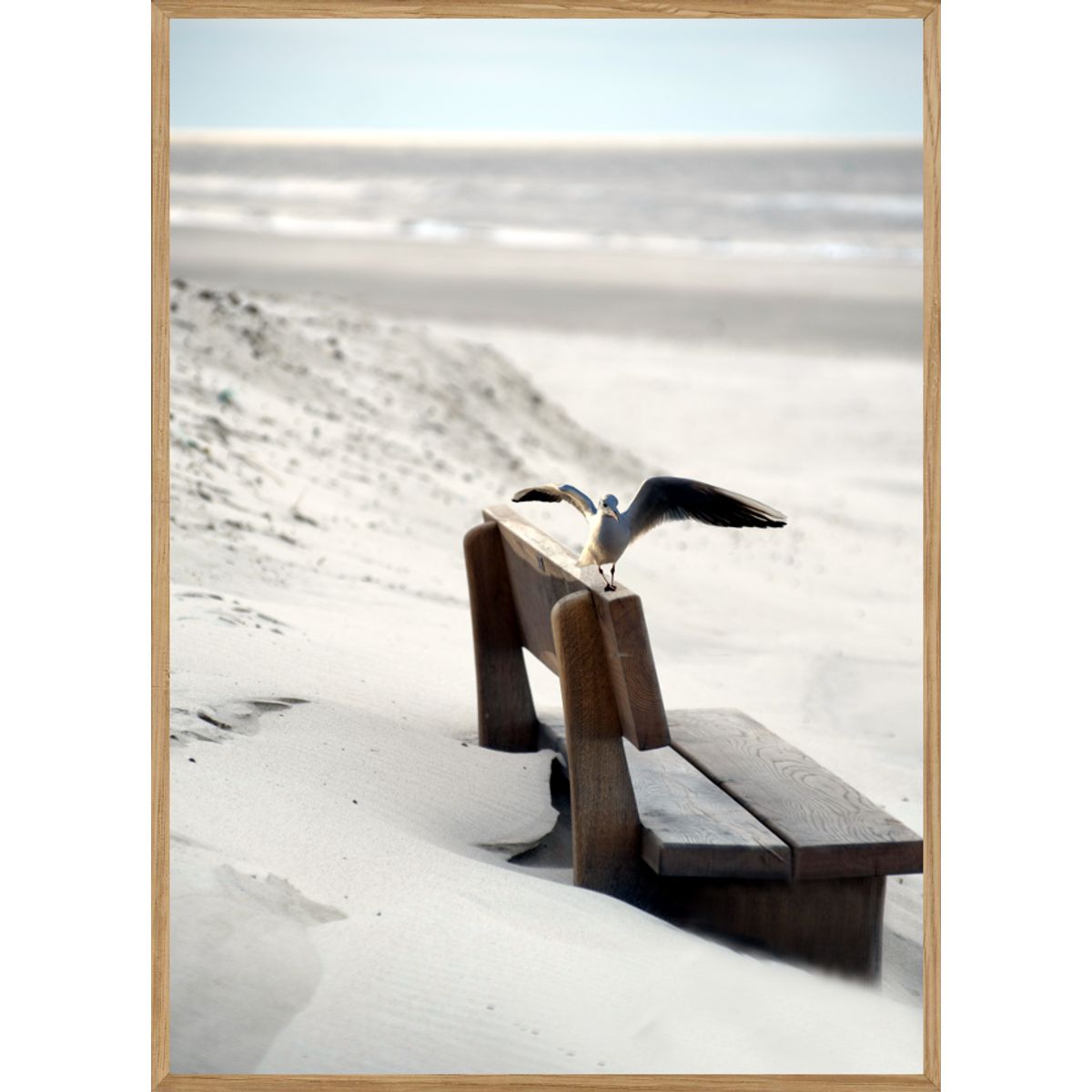 HENNE STRAND - NATURPLAKAT MED DYR 30 x 40cm - BOLIGEN > NATURPLAKATER - Living Nature