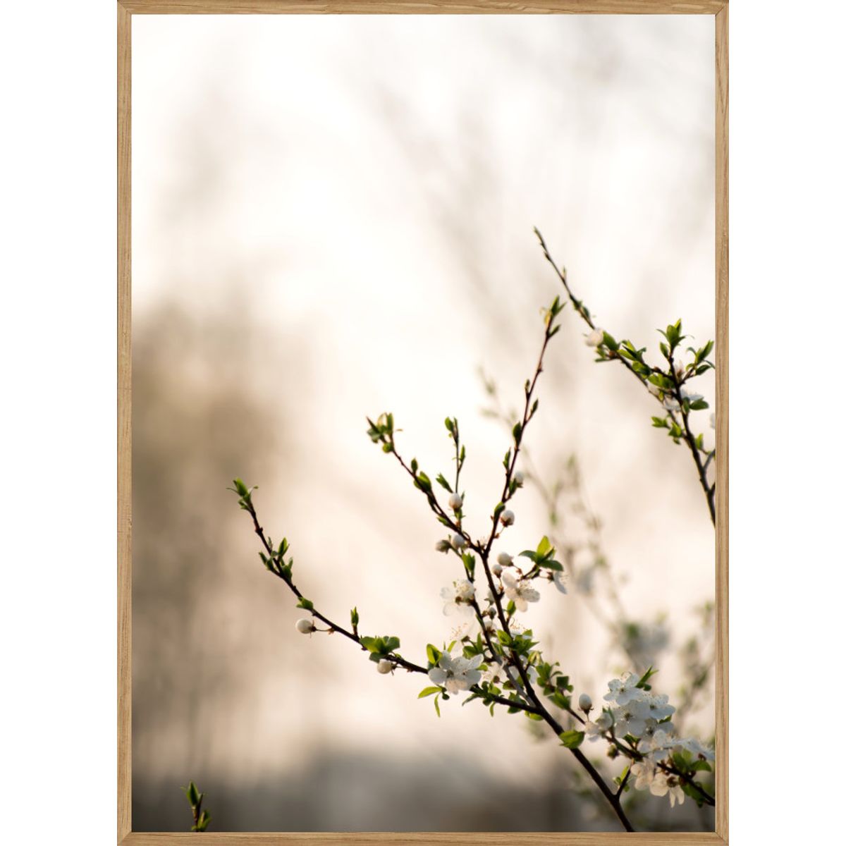 FORÅR - NATURPLAKAT A5 (14,8 x 21cm) - BOLIGEN > NATURPLAKATER - Living Nature