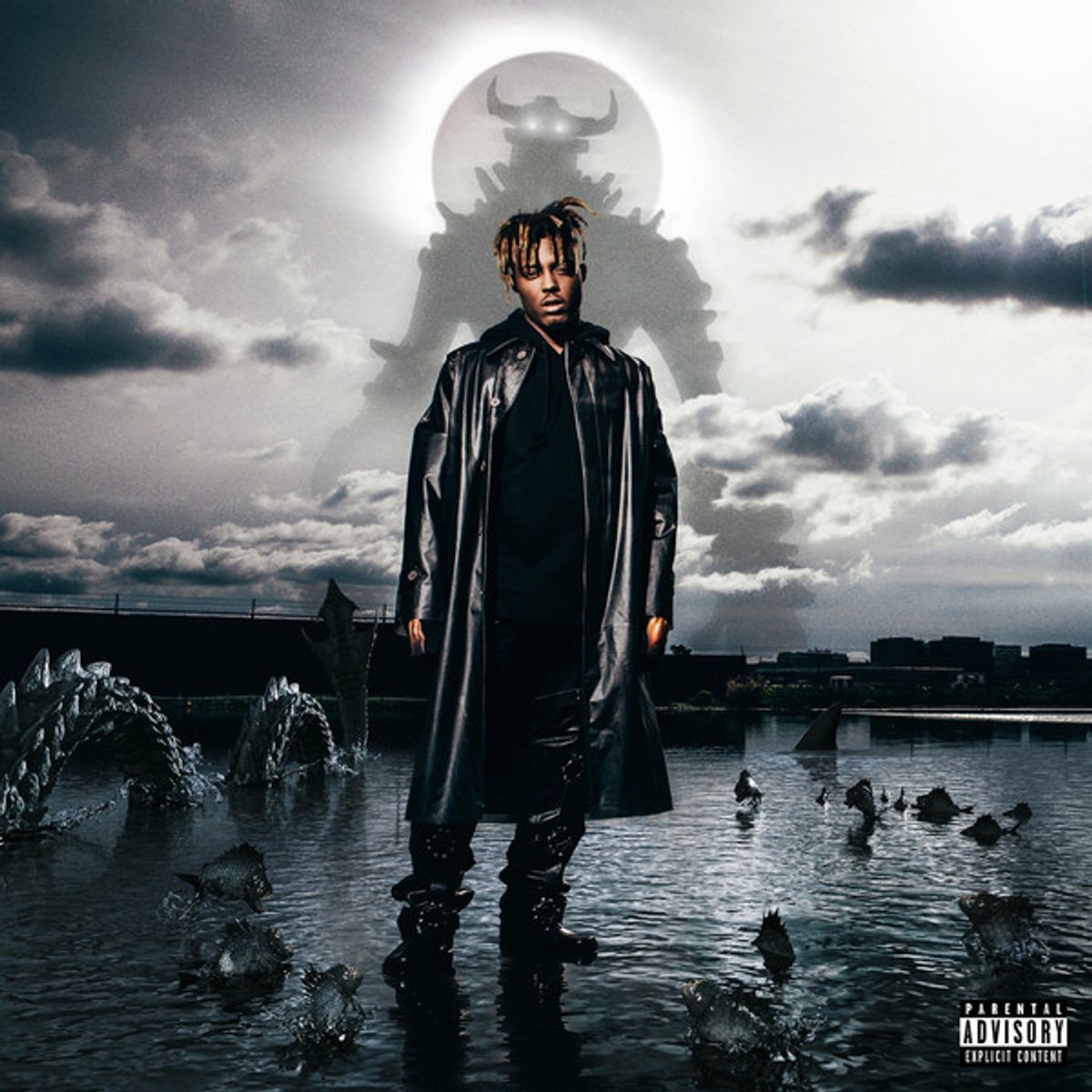 Juice Wrld - Fighting Demons (2xVinyl)