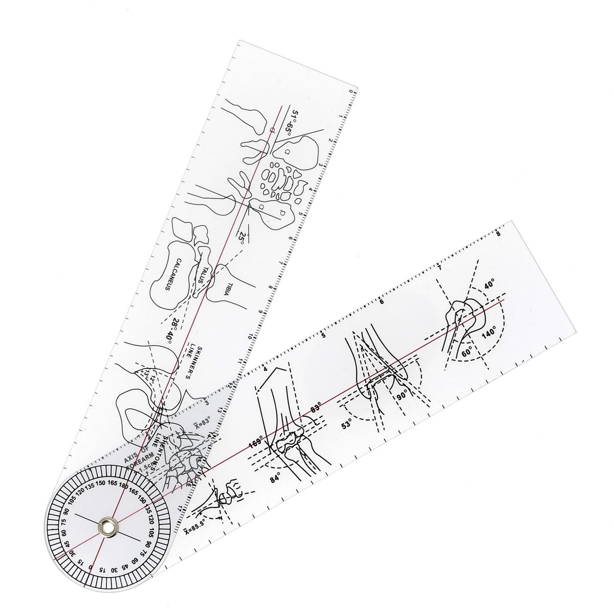 Goniometer med illustrationer